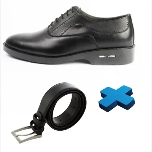 ست هدیه مردانه شامل کفش چرم بنددار و کمربند چرم صنعتی نیک